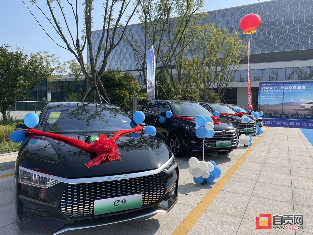 自贡公务车租赁市场首次批量引进18台新能源汽车-3.jpg