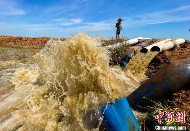 多地旱情引关注，会引发粮价、菜价上涨吗？-4.jpg