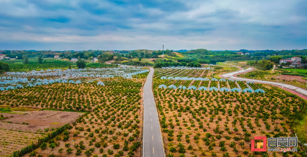 图片新闻|自贡的道路有多好看？这些图片给你答案-4.jpg