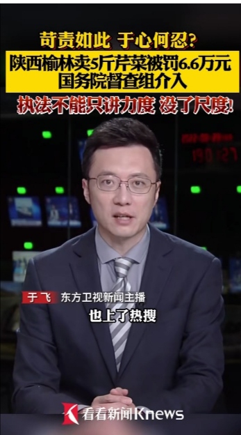 陕西榆林卖5斤芹菜被罚6.6万元 国务院督查组介入-1.jpg