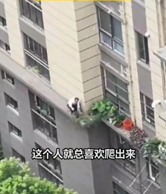 男子翻窗在楼房外腰线处浇花失足坠亡，律师：责任需自己承担-1.png