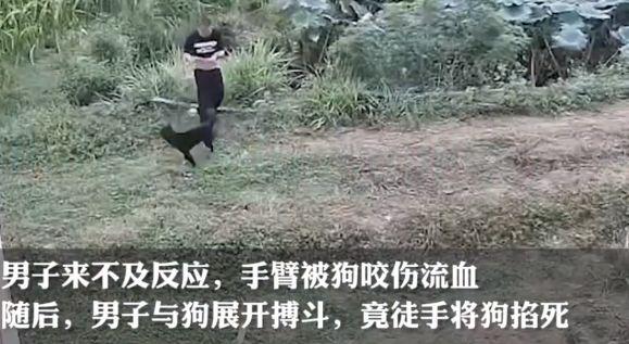 男子被恶狗咬伤后徒手将狗掐死！网友：“现实版武松打狗！”-1.jpg