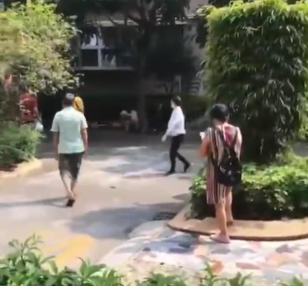 江门女子被自家宠物狗严重咬伤，狗毛被血染红，女子胳膊血肉模糊-2.jpg