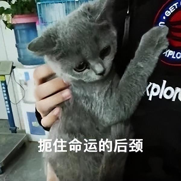 我出1万多、男友出16万给首付，购房合同写我名字，男友每月给我打钱还贷款，这房子...-1.jpg