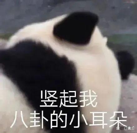 国庆FUN肆嗨！富顺周边竟藏着一座宝藏乐园！30余项热门项目让你嗨翻天~-1.jpg