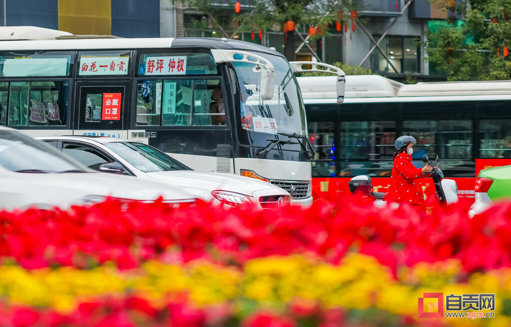 图片新闻｜自贡：满城绽放“中国红” 国庆氛围“别样浓”-10.jpg
