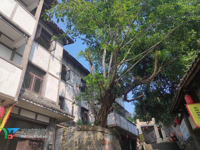 品古镇美食 享假日欢愉 仙市古镇金秋旅游节欢迎你的到来！-5.jpg
