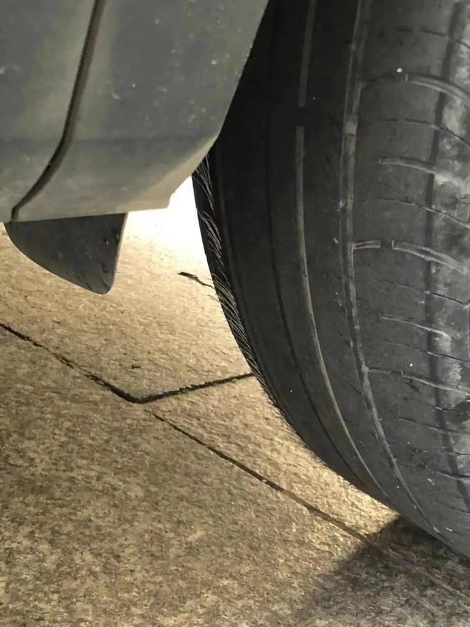 十一租车游：涨价五成、堵车18小时，我太难了-3.jpg