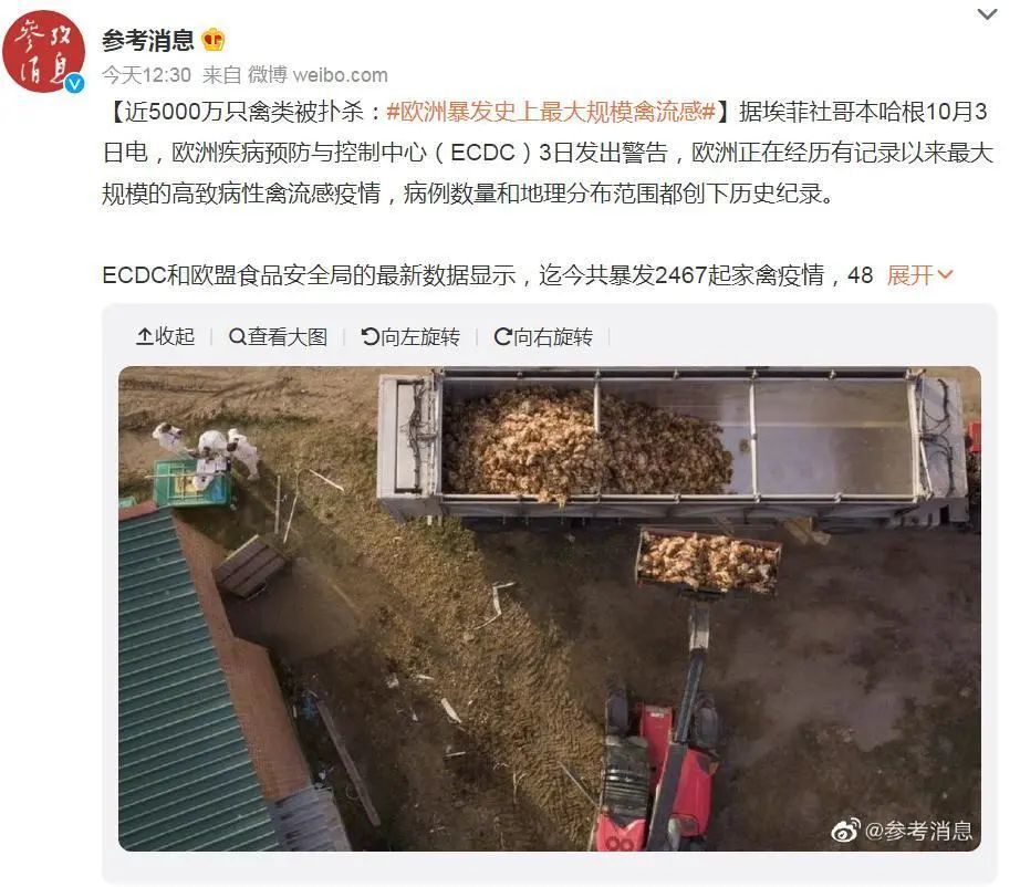 4800万只禽类被扑杀！欧洲暴发史上最大规模禽流感，已波及37个国家-2.jpg