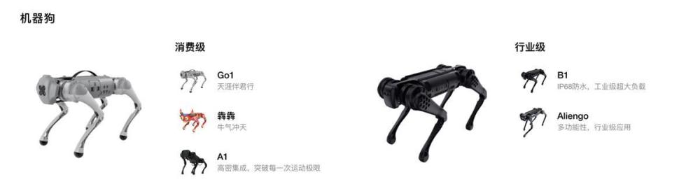 有人爱上了遛机械狗，可陪散步取快递，售价1.5万元起-2.jpg