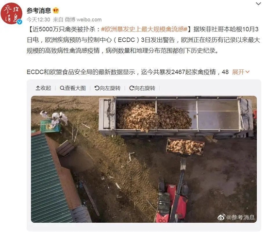 4800万只禽类被扑杀！欧洲暴发史上最大规模禽流感，已波及37个国家！-2.jpg