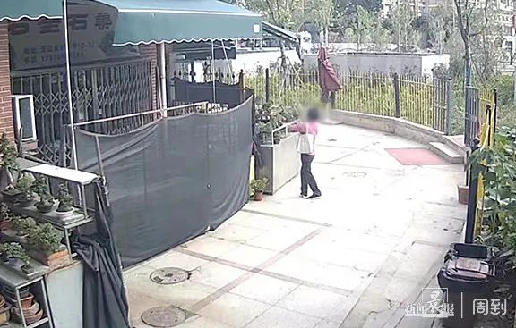 偷花？门口花太美，惹粉衣女子起了贼心，直接将花偷走-2.jpg