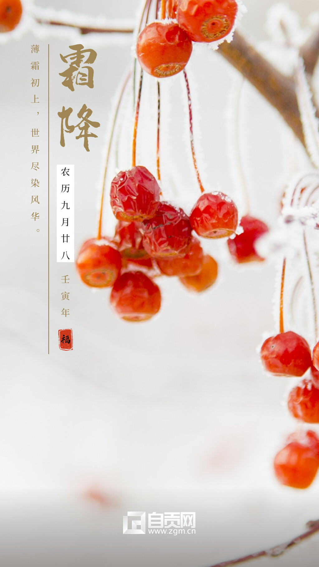 海报 | 霜降：霜染秋意浓 最美秋色正当时-1.jpg