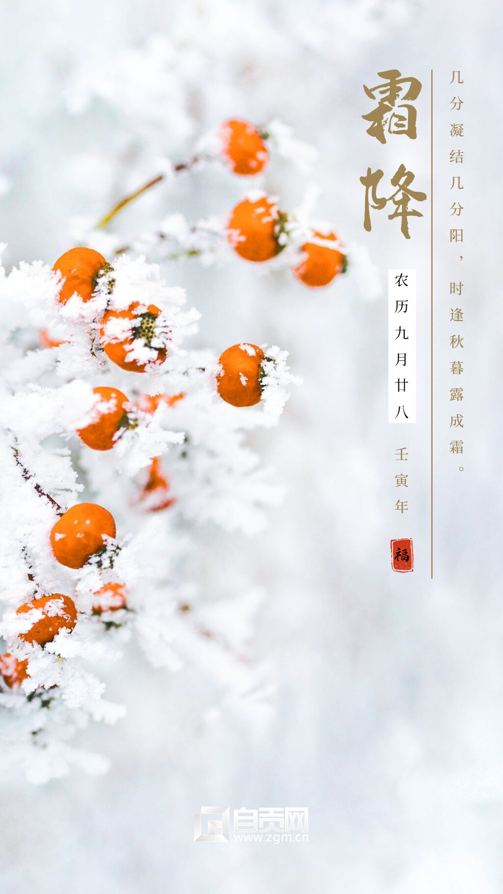 海报 | 霜降：霜染秋意浓 最美秋色正当时-3.jpg