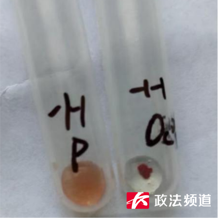 全国罕见！这里发现一例“恐龙血”-3.png