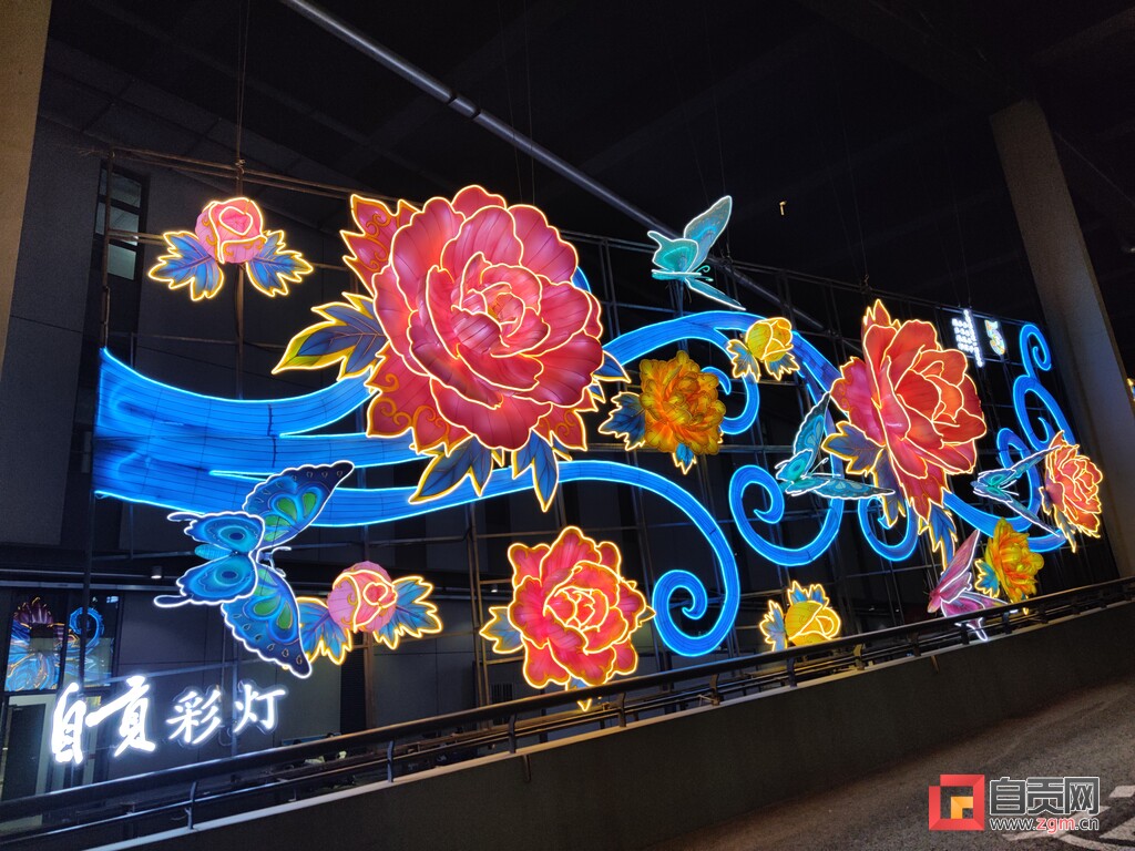 第五届进博会来了！自贡组团参会参展-5.jpg