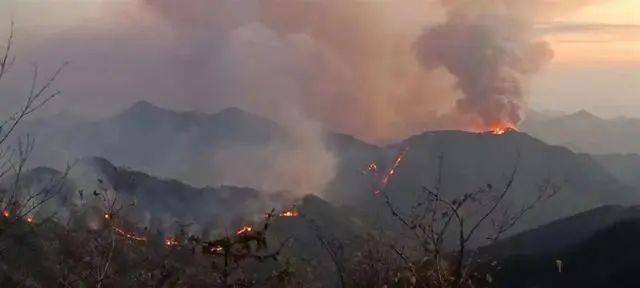 汶川地震中幸存的他，牺牲在森林火灾救援现场-1.jpg