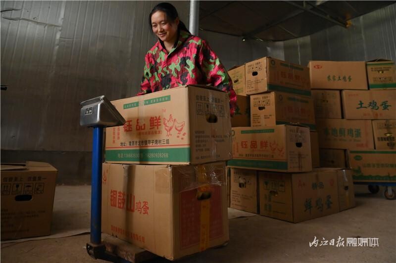 内自同城 | 照顾五万“鸡宝贝”，内江隆昌有位超能“鸡妈妈”-4.jpeg