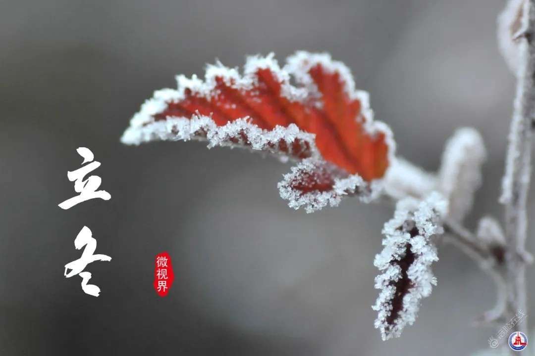 立冬了，风已经有了冬天的味道这一年又接近尾声，苦也好 累也罢，只要家人健康平安...-1.jpg