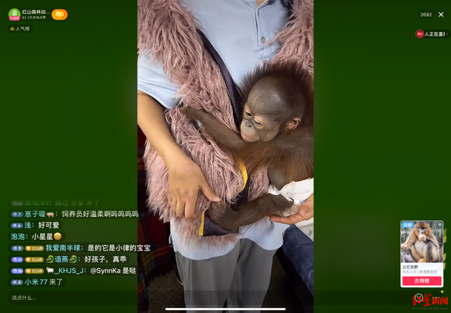 “揭不开锅了”！南京一动物园直播筹款：不是我们在养动物，是动物在养我们-1.jpg