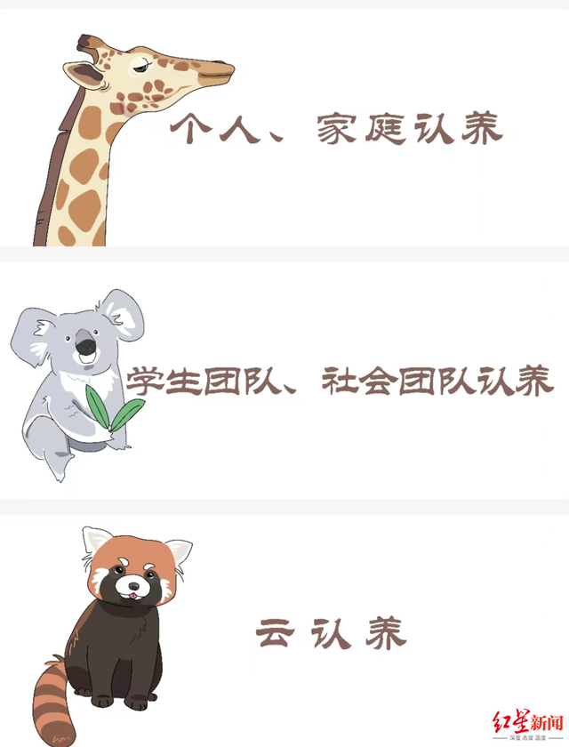 “揭不开锅了”！南京一动物园直播筹款：不是我们在养动物，是动物在养我们-5.jpg