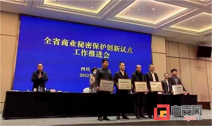 中昊晨光化工研究院入选首批四川省商业秘密保护创新试点基地-1.jpg
