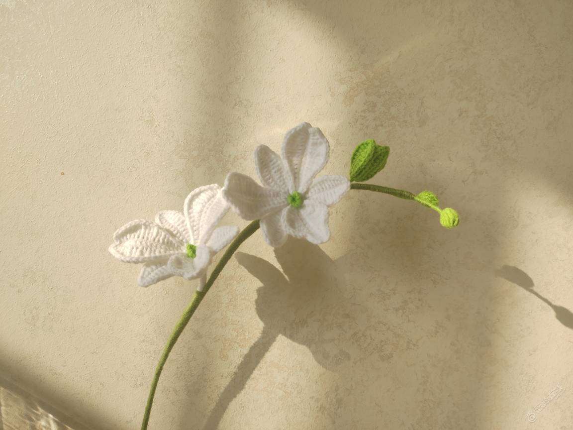宅家让我成为了艺术家？看看我diy的阳光和小花……-4.jpg