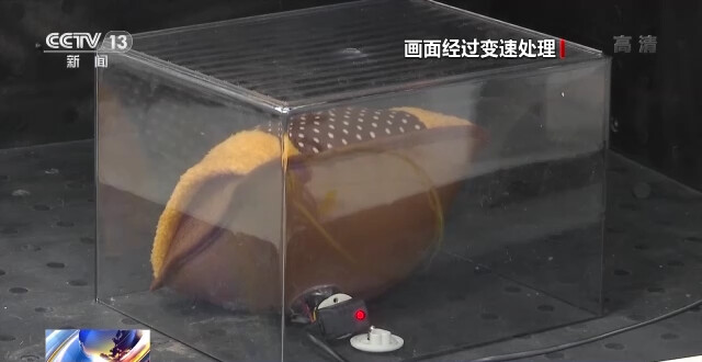 电热暖手器不合格率达65.1% 问题出在哪里？选购时应注意什么？-4.jpg