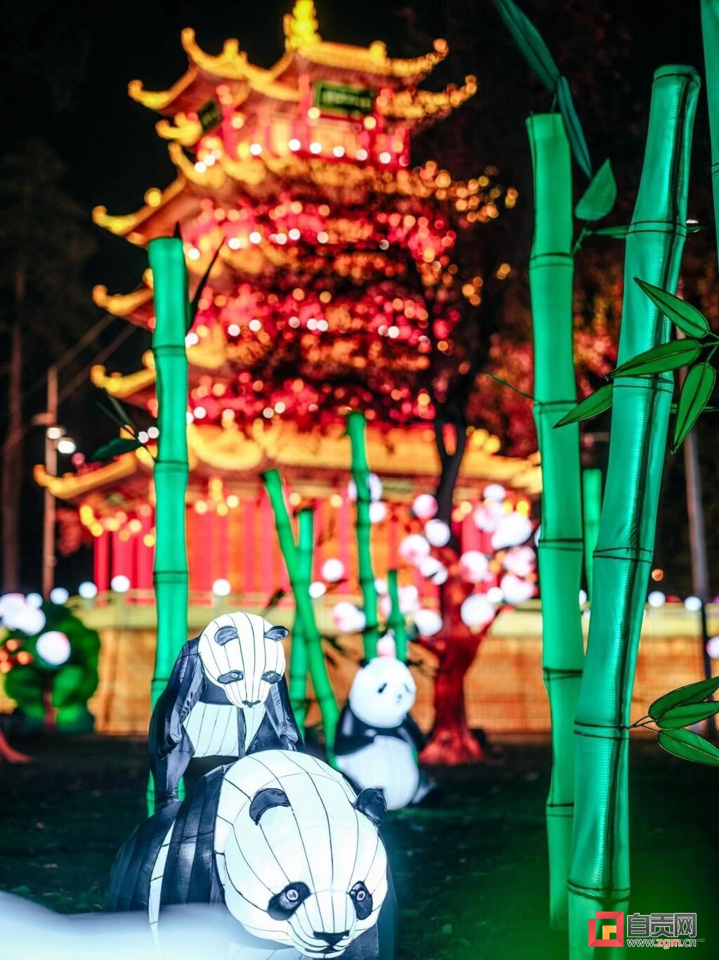 文旅兴市风帆劲 自贡彩灯走四方-1.jpg