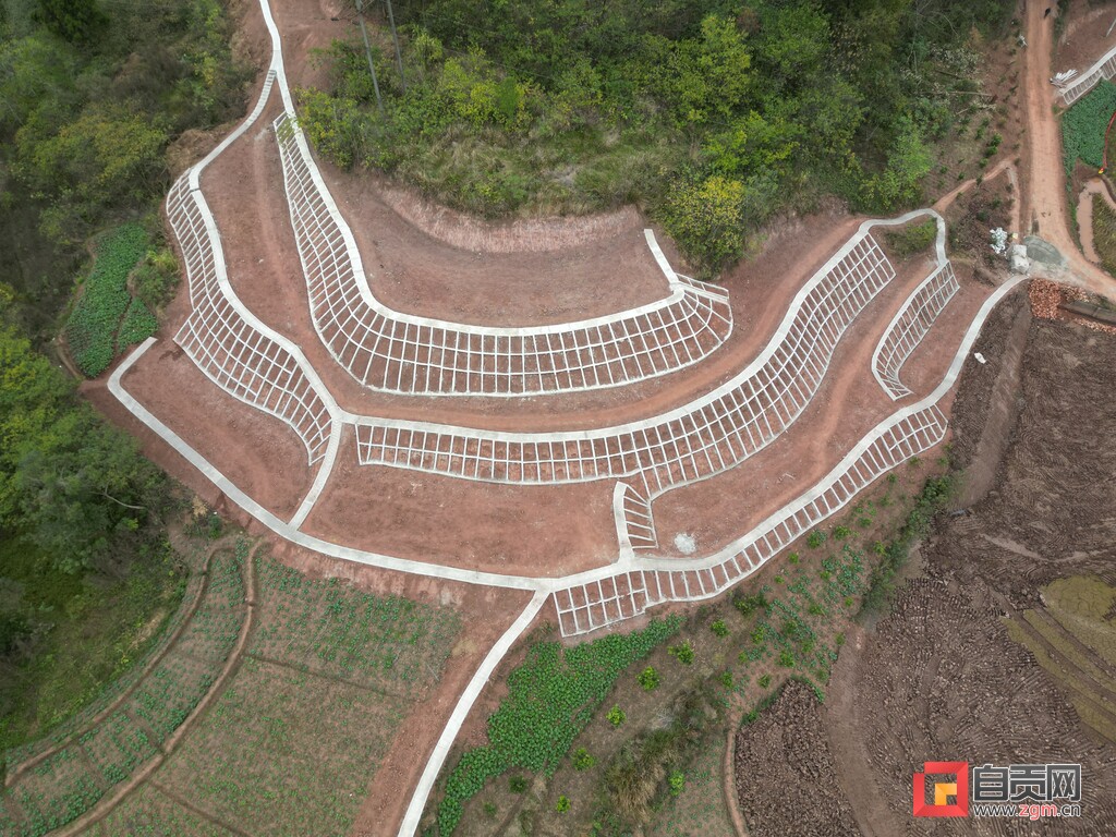 综合治理 保持水土 富顺县永年镇在行动-1.jpg