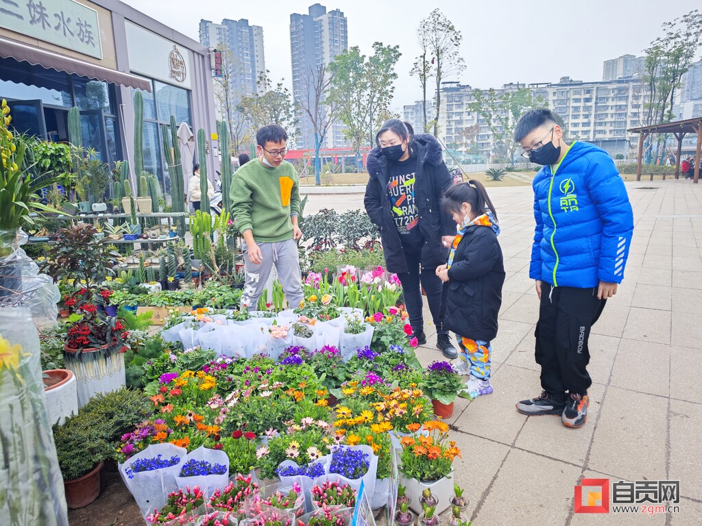 市民购花迎春 盐都年味渐浓-2.jpg