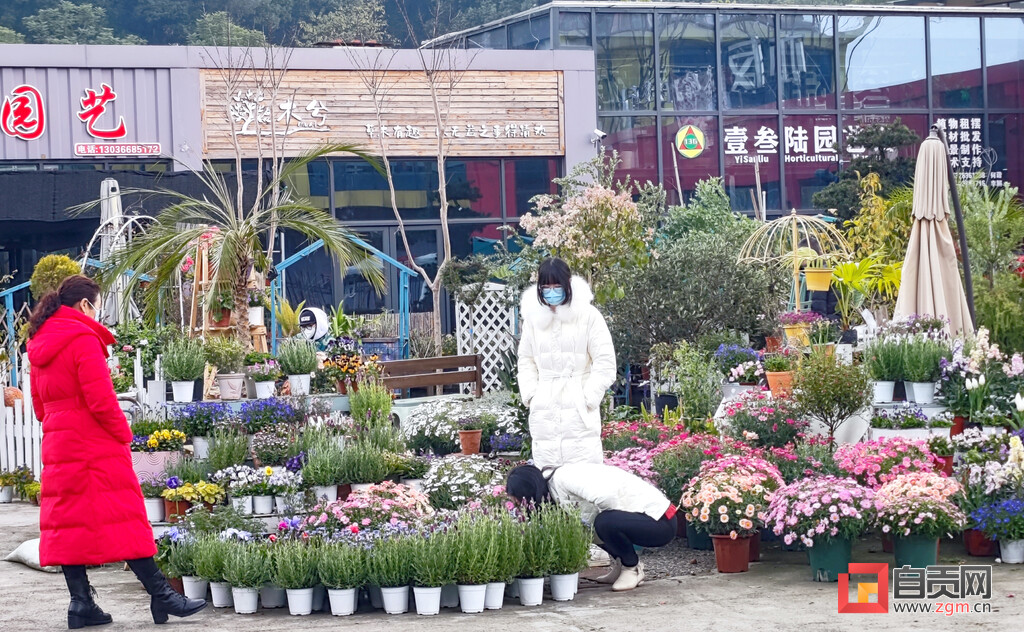 市民购花迎春 盐都年味渐浓-3.jpg