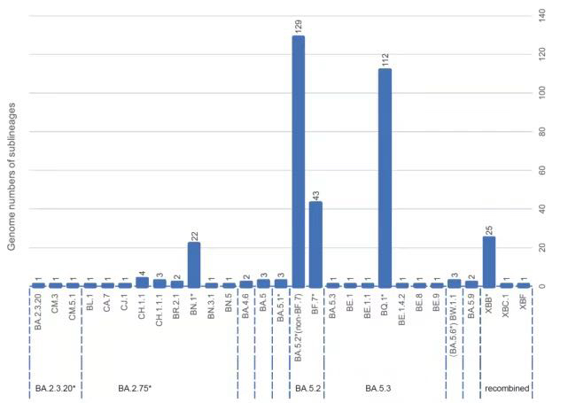 新毒株XBB.1.5在美国“横行”、上海已发现，二次感染风险有多高？-2.jpg