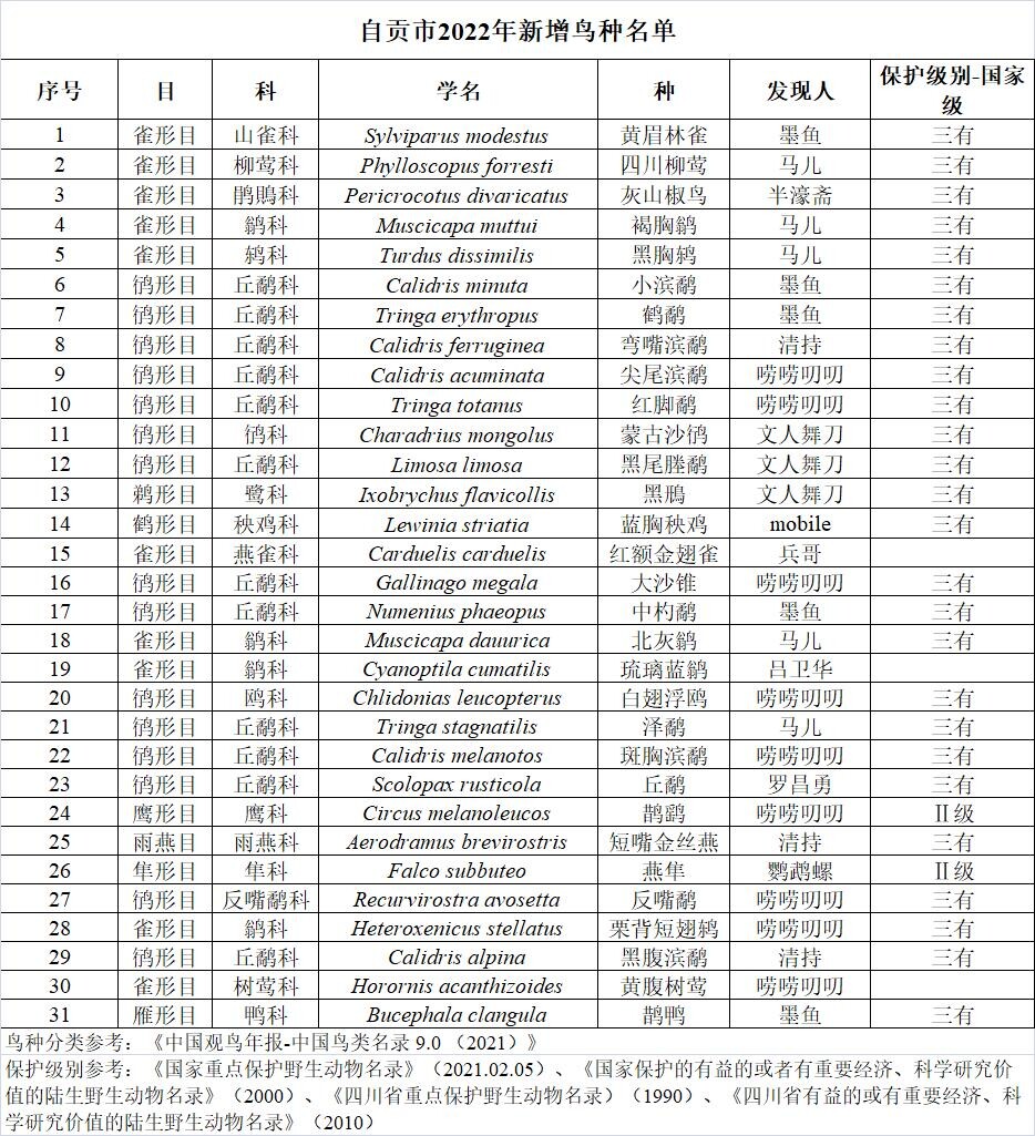 2022年自贡新添31种野生鸟类“新成员”-1.jpg
