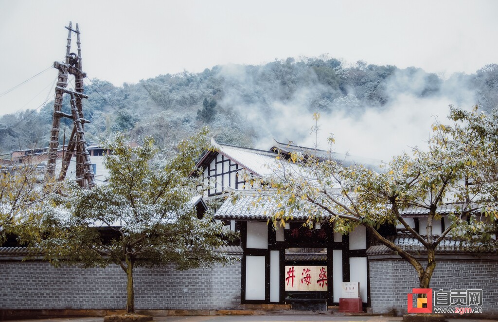 来和“盐龙灯”约会！自贡推出新春精品旅游线路——-4.jpg