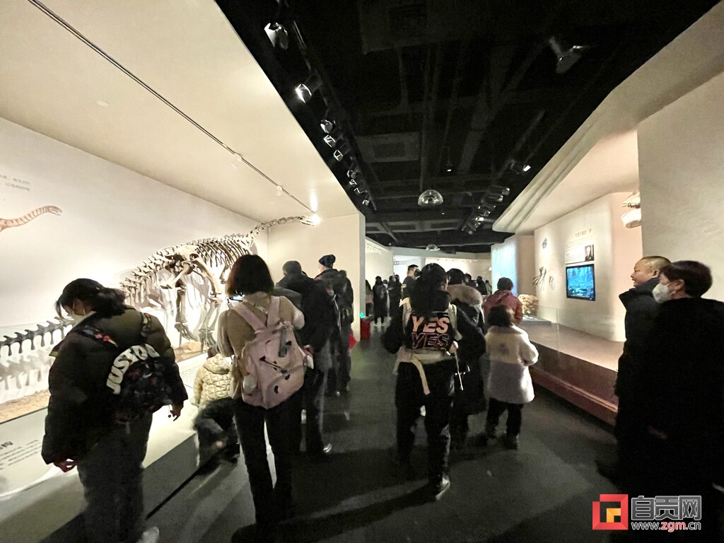 春节假期第二天 | 自贡18家A级景区接待游客11万余人次-4.jpg