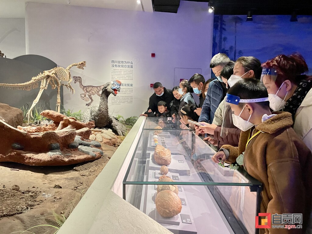 春节假期第二天 | 自贡18家A级景区接待游客11万余人次-6.jpg