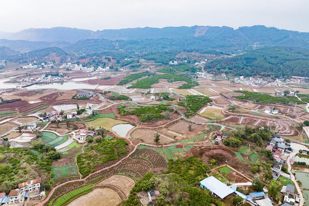 开跑！“一家人不说两家话” 川渝毗邻地区镇街领导去三合村“新年第一访-1.jpg