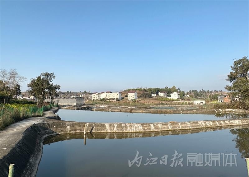 内自同城|五年五批次！内江农村面貌大变样-4.jpg