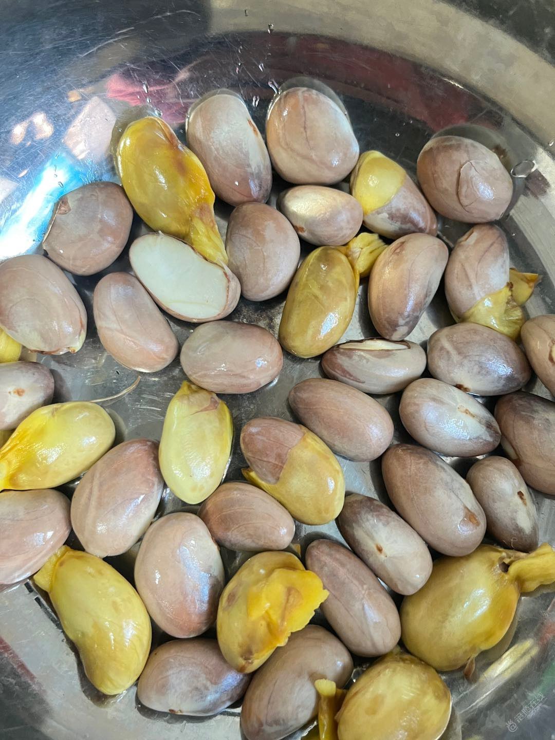 热带水果，你最爱吃啥子？-2.jpg