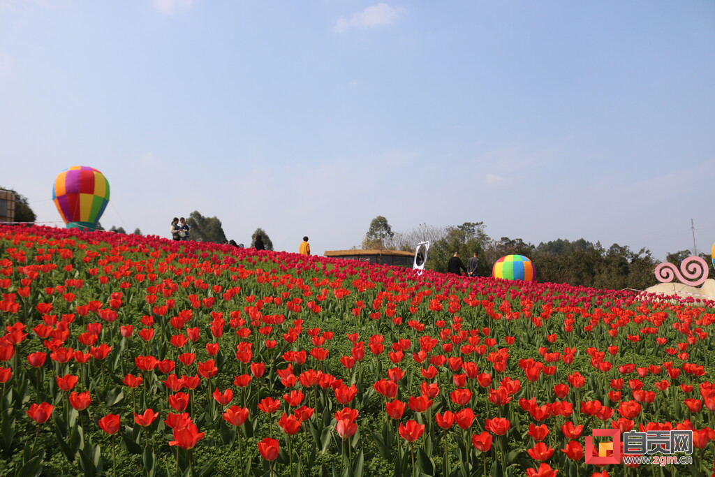 2023年自贡沿滩春季乡村旅游系列活动启动-4.jpg
