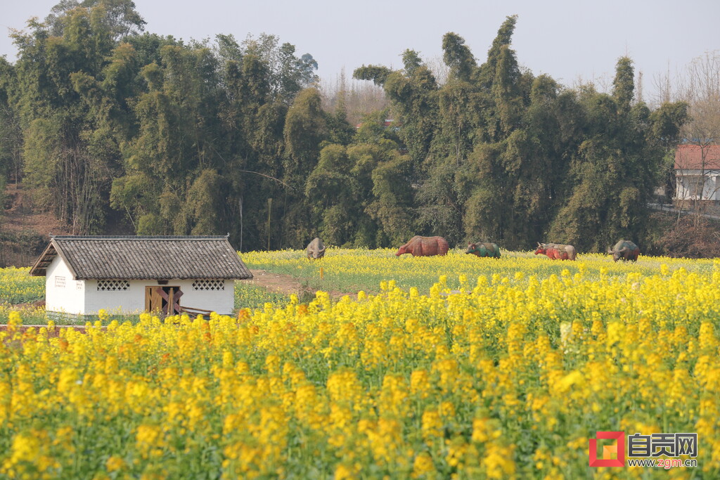 2023年自贡沿滩春季乡村旅游系列活动启动-2.jpg