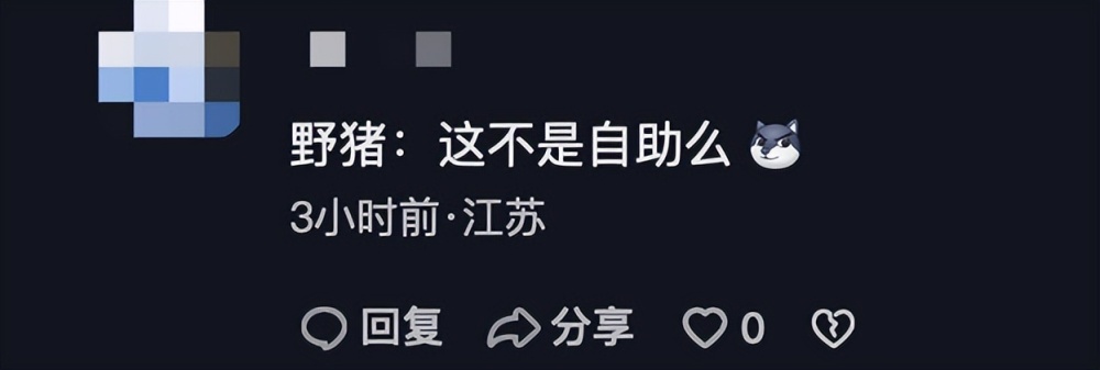 200斤野猪凌晨偷吃大学生外卖，学生：学校不止这一只野猪-5.jpg