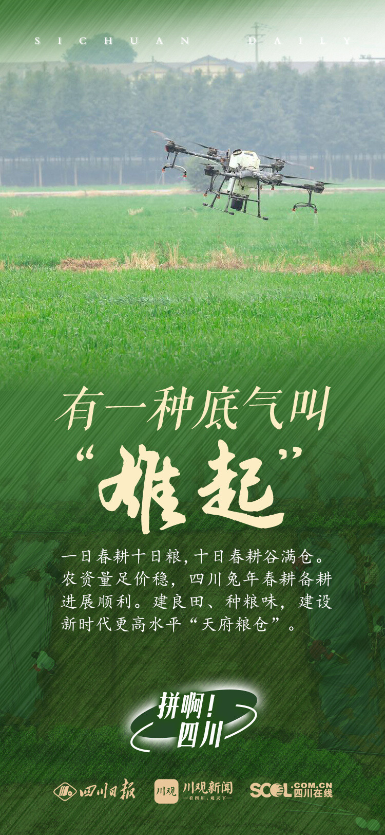 四川如何“展劲”拼？一组方言海报带你看→-8.jpg