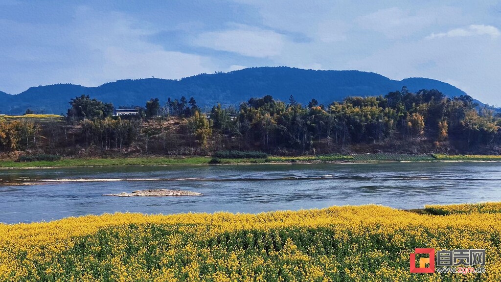 @富顺人，春日赏景正当时，这里的油菜花打卡宝地，你去过没？-7.jpg