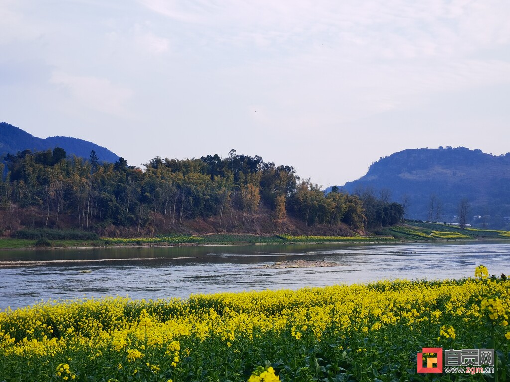 @富顺人，春日赏景正当时，这里的油菜花打卡宝地，你去过没？-2.jpg