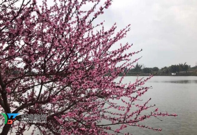 信步沿滩·遇见春天 2023年沿滩区春季乡村旅游系列活动正式启动-9.jpg