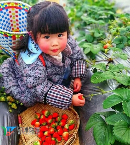 信步沿滩·遇见春天 2023年沿滩区春季乡村旅游系列活动正式启动-15.jpg