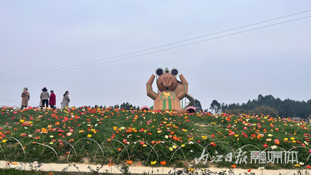 内自同城 | 鲜花怒放，资中云岭金秋景区千亩花海等你去乐享春光-2.jpg