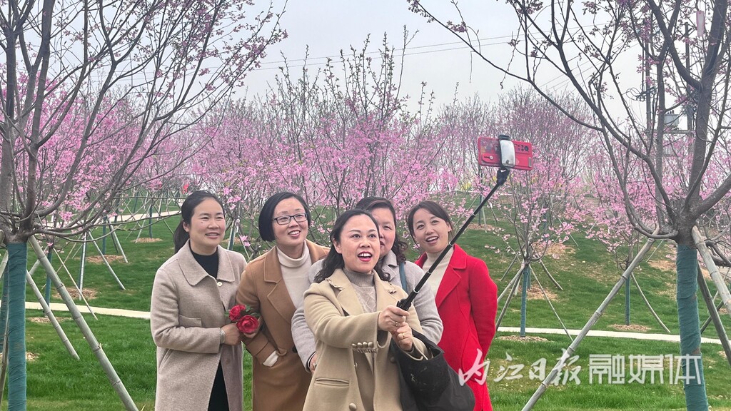 内自同城 | 鲜花怒放，资中云岭金秋景区千亩花海等你去乐享春光-11.jpg
